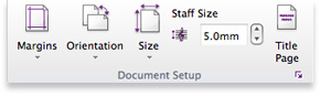 Document Setup group